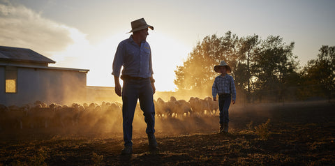 The Musings of a Farmer: Lambing is Serious Business